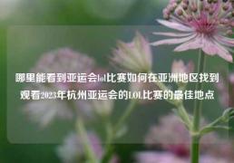 哪里能看到亚运会lol比赛如何在亚洲地区找到观看2023年杭州亚运会的LOL比赛的最佳地点