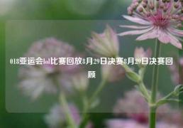 018亚运会lol比赛回放8月29日决赛8月29日决赛回顾