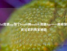 lol竞猜app邹个bxh666碘comLOL竞猜App——揭秘邹氏兄弟的独家秘籍