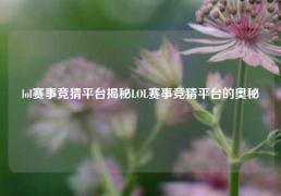 lol赛事竞猜平台揭秘LOL赛事竞猜平台的奥秘