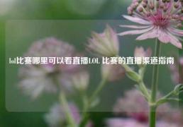 lol比赛哪里可以看直播LOL 比赛的直播渠道指南