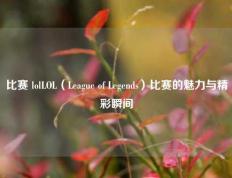 比赛 lolLOL（League of Legends）比赛的魅力与精彩瞬间