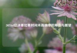 2025lol总决赛比赛时间未雨绸缪的筹备与展望