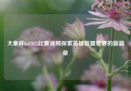 大象杯lol2025比赛视频探索英雄联盟世界的新篇章