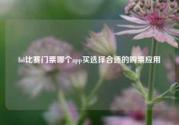 lol比赛门票哪个app买选择合适的购票应用