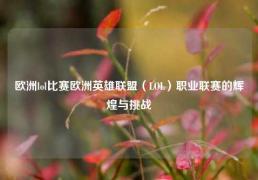 欧洲lol比赛欧洲英雄联盟（LOL）职业联赛的辉煌与挑战