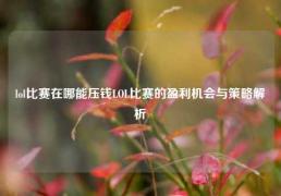 lol比赛在哪能压钱LOL比赛的盈利机会与策略解析
