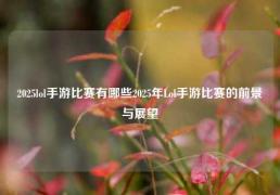 2025lol手游比赛有哪些2025年Lol手游比赛的前景与展望