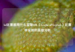 lol比赛都用什么英雄LOL（League of Legends）比赛中常用的英雄分析