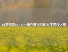 lol竞猜架fc3·tv一场充满挑战的电子竞技之旅