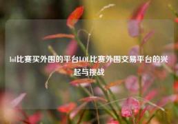 lol比赛买外围的平台LOL比赛外围交易平台的兴起与挑战