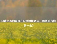 lol赌比赛的在哪在lol赌博比赛中，哪些地方值得一去？