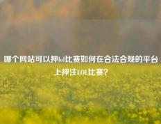 哪个网站可以押lol比赛如何在合法合规的平台上押注LOL比赛？