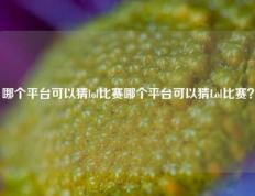 哪个平台可以猜lol比赛哪个平台可以猜Lol比赛？