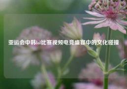 亚运会中韩lol比赛视频电竞盛宴中的文化碰撞