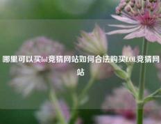 哪里可以买lol竞猜网站如何合法购买LOL竞猜网站
