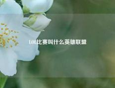 LOL比赛叫什么英雄联盟