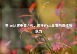 看LOL比赛电竞之夜，沉浸在LOL比赛的激情与魅力