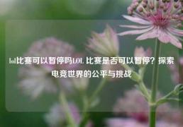 lol比赛可以暂停吗LOL 比赛是否可以暂停？探索电竞世界的公平与挑战