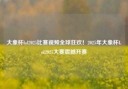 大象杯lol2025比赛视频全球狂欢！2025年大象杯Lol2025大赛震撼开赛
