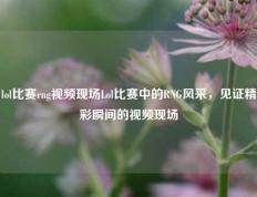 lol比赛rng视频现场Lol比赛中的RNG风采，见证精彩瞬间的视频现场