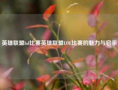 英雄联盟lol比赛英雄联盟LOL比赛的魅力与启示