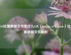 lol比赛数据文件是什么LOL（League of Legends）比赛数据文件解析