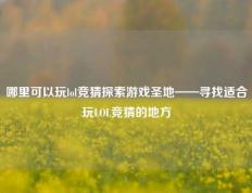 哪里可以玩lol竞猜探索游戏圣地——寻找适合玩LOL竞猜的地方