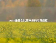 2025lol是什么比赛未来的电竞盛宴
