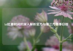 lol比赛时间的深入解析官方与第三方赛事日程