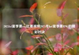 2025lol夏季赛rng比赛视频2025年Lol夏季赛RNG的精彩对决