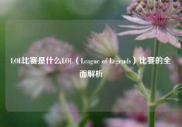 LOL比赛是什么LOL（League of Legends）比赛的全面解析