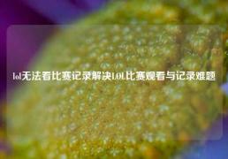 lol无法看比赛记录解决LOL比赛观看与记录难题