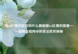 赌lol比赛的软件叫什么揭秘赌Lol比赛的黑幕——隐藏在暗网中的非法软件探秘