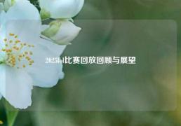 2025lol比赛回放回顾与展望