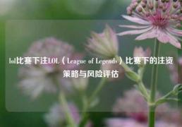lol比赛下注LOL（League of Legends）比赛下的注资策略与风险评估