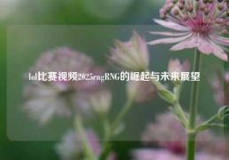 lol比赛视频2025rngRNG的崛起与未来展望