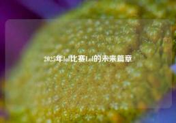2025年lol比赛Lol的未来篇章