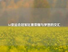 lol亚运会冠军比赛荣耀与梦想的交汇