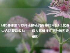 lol比赛哪里可以押注换钱的揭秘如何在LOL比赛中合法获取收益——深入解析押注平台与游戏策略