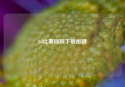 lol比赛回放下载出错