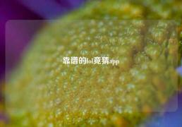 靠谱的lol竞猜app