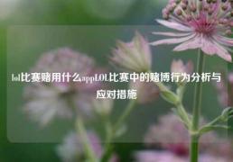 lol比赛赌用什么appLOL比赛中的赌博行为分析与应对措施