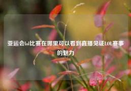 亚运会lol比赛在哪里可以看到直播见证LOL赛事的魅力