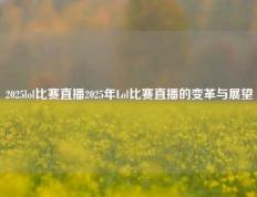 2025lol比赛直播2025年Lol比赛直播的变革与展望