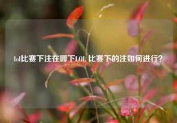 lol比赛下注在哪下LOL 比赛下的注如何进行？