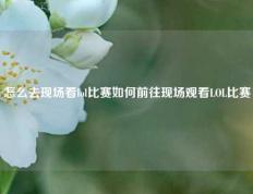 怎么去现场看lol比赛如何前往现场观看LOL比赛