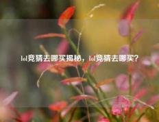 lol竞猜去哪买揭秘，lol竞猜去哪买？