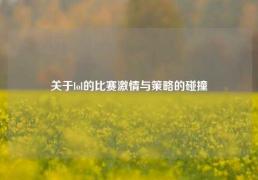 关于lol的比赛激情与策略的碰撞