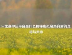 lol比赛押注平台是什么揭秘虚拟赌局背后的真相与风险